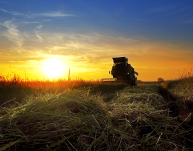 sunset on farm